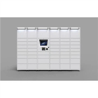 Package Drop Off Locker