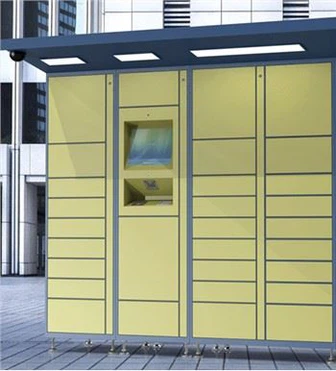 Direct Delivery Package rau Parcel Locker